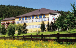 Гостиница Panorama Hotel Oberwiesenthal, Обервизенталь